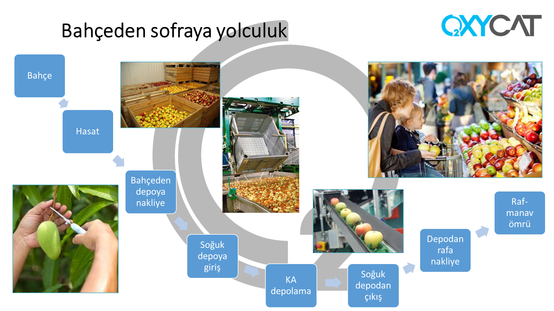 Atmosfer kontrollü soğuk hava deposu ile yaşam döngüsü.