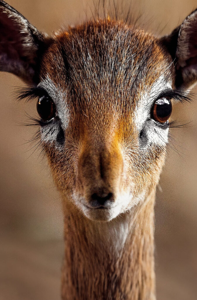 Atmosfer Kontrol Ünitesi
