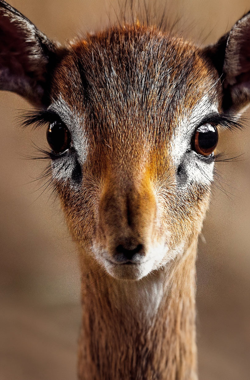 Atmosfer Kontrol Ünitesi
