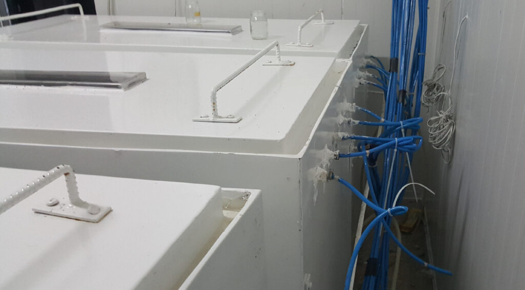 KA Laboratuvar Ürünleri Klimakterik Meyveler