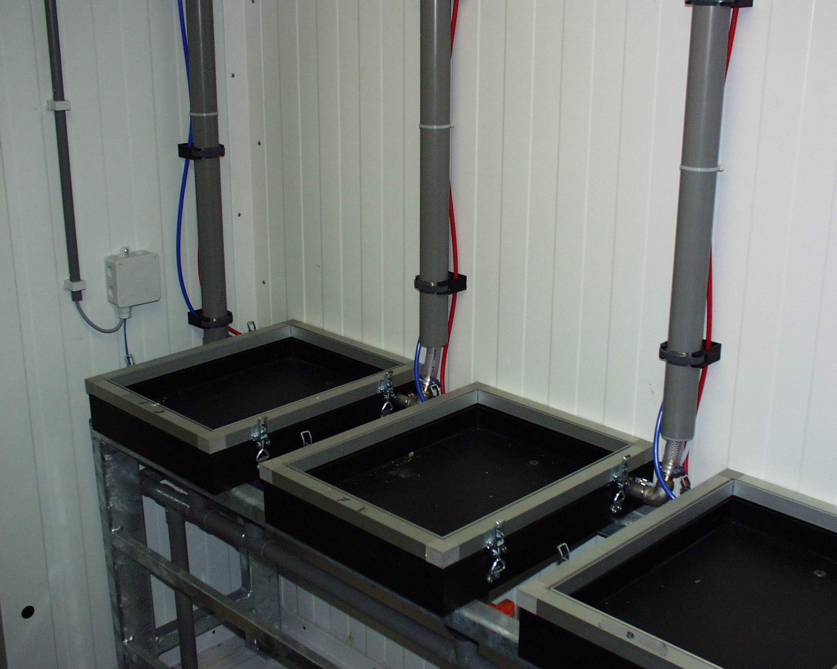 Klimakterik Meyveler