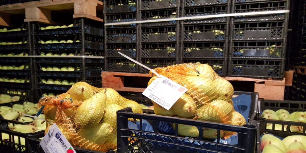 Ultra Düşük Oksijende Meyveler