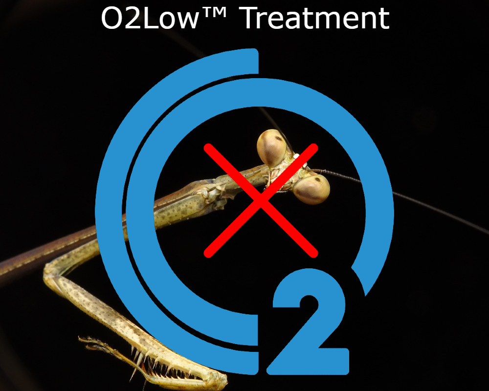 O2low Treatment