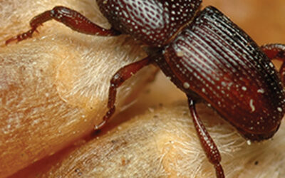 O2Low System Сompatible Products