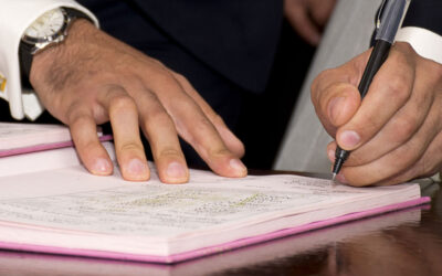 Отзывы и рекомендации